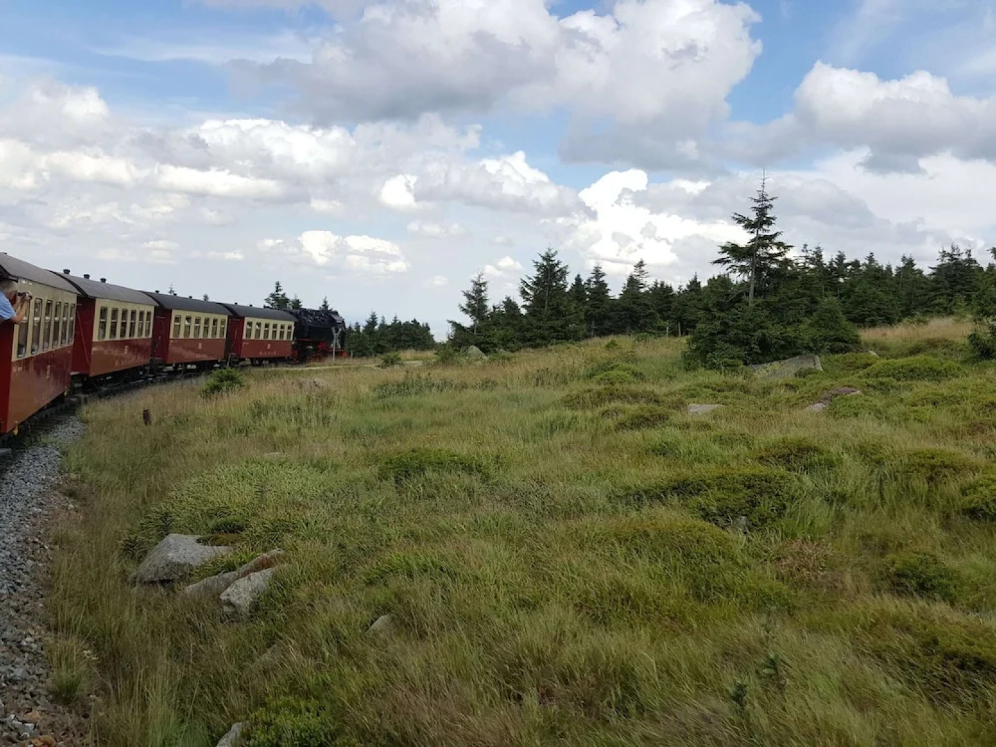 Gruppen- Ferienhaus in Wieda