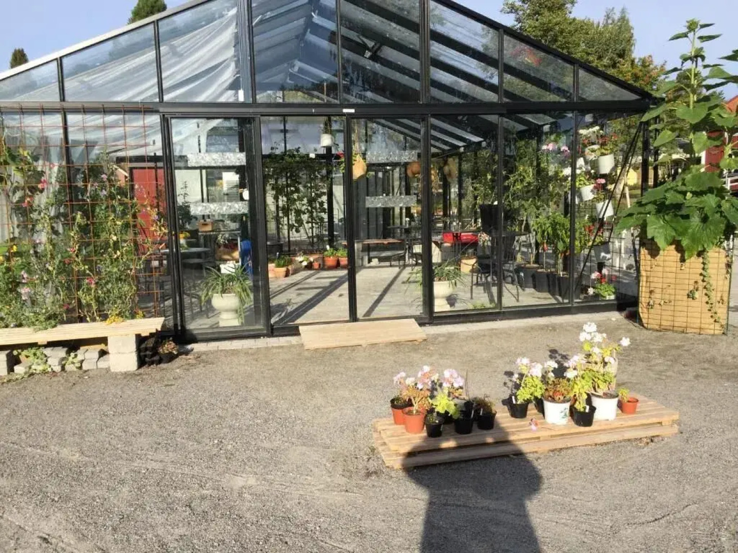 Edelviks Trädgård B&B