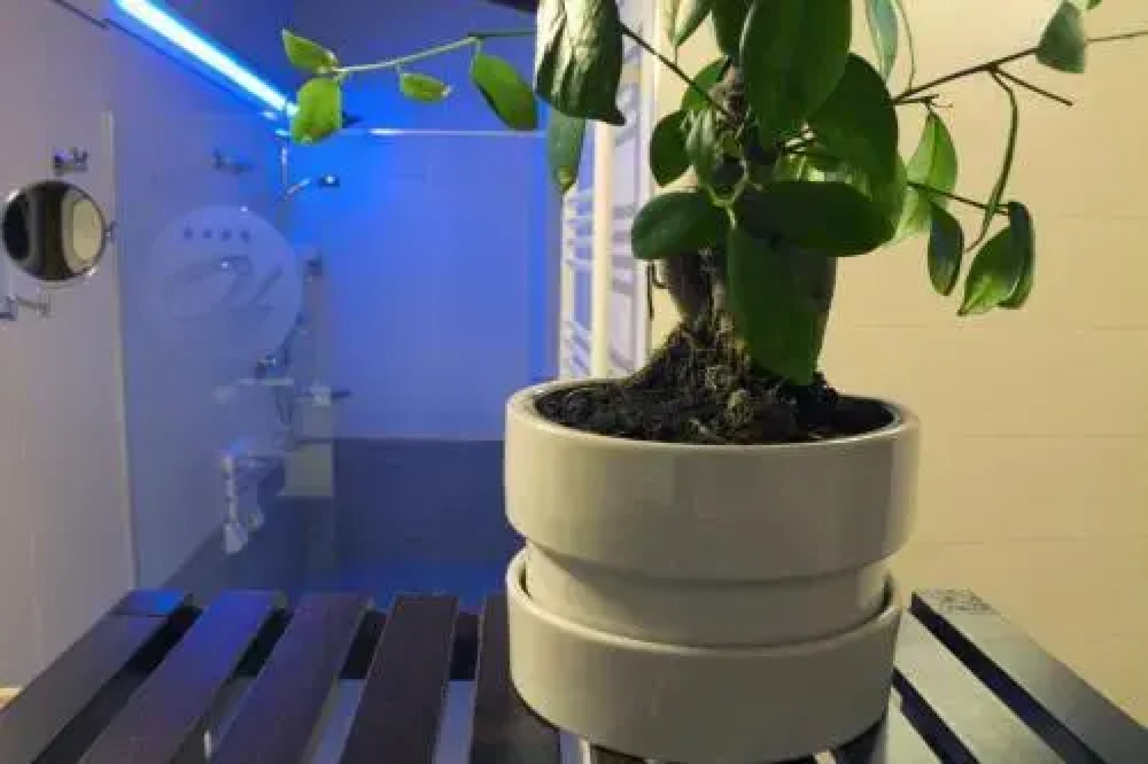 Boutique Hotel E Spa Citta Bianca