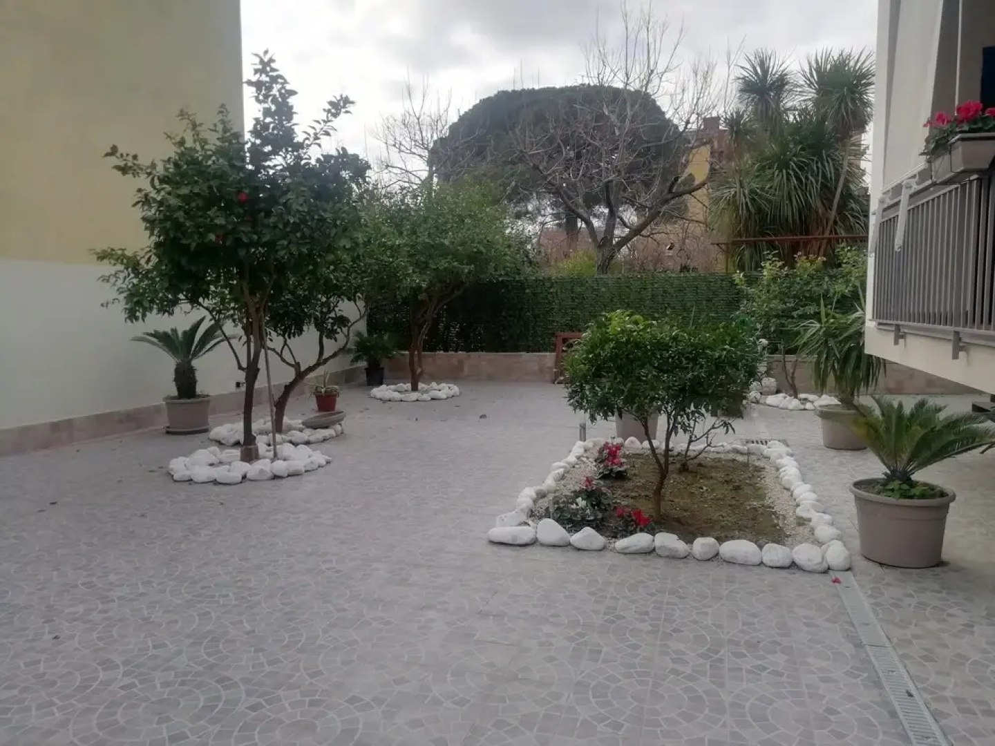 Fitta Chambre Mavì