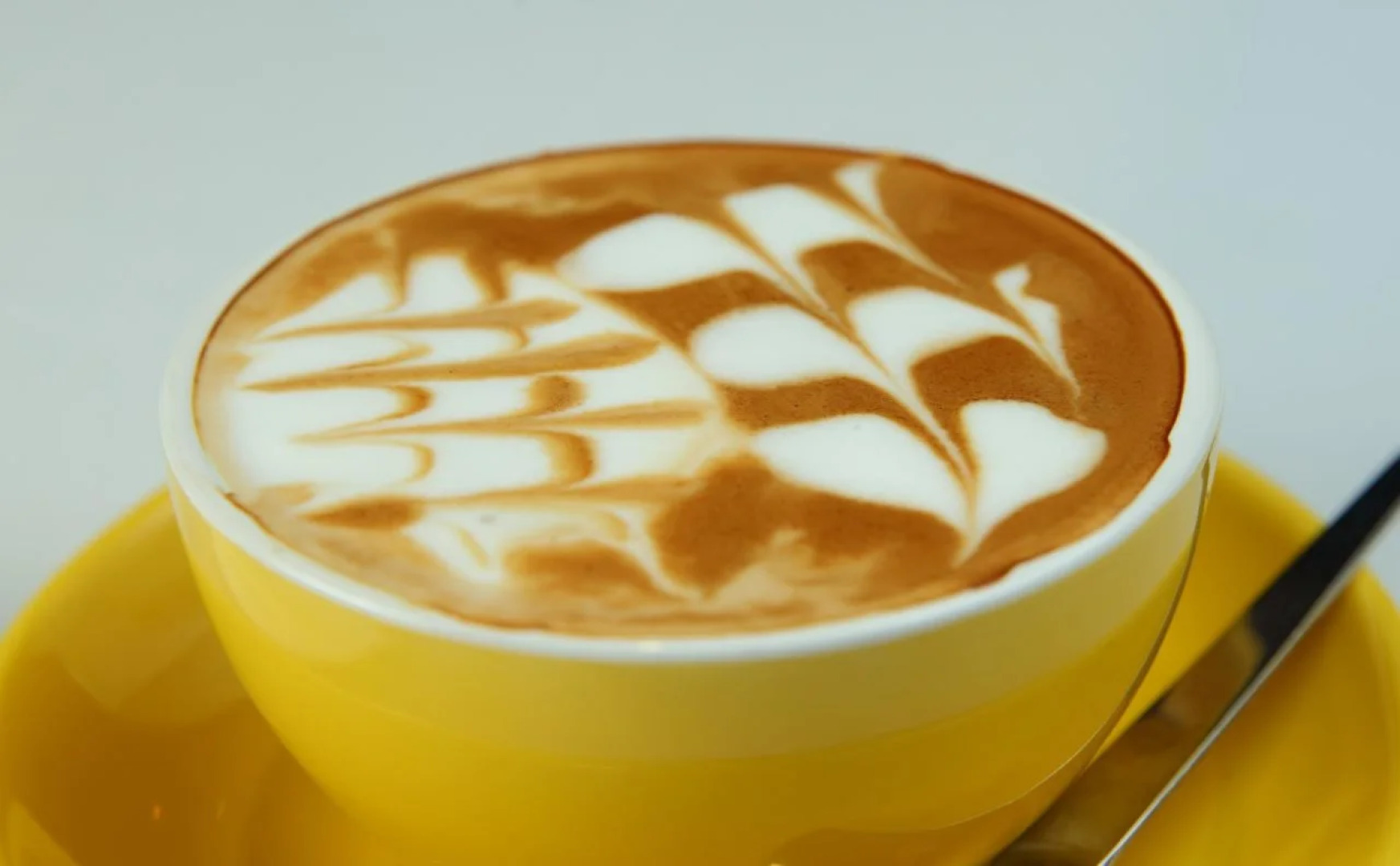 Thome Boutique Hotel