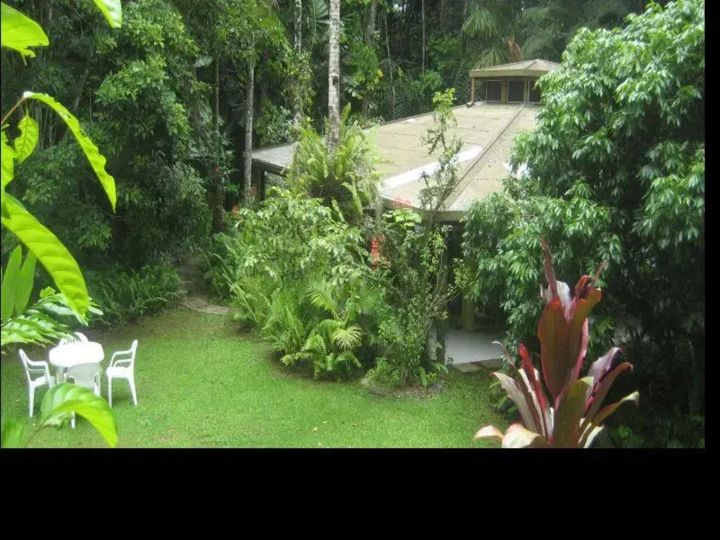 Daintree Deep Forest Lodge