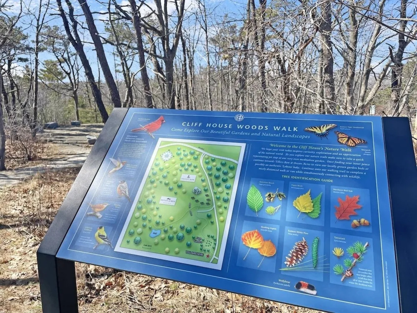 Ragged Rocks - Warm And Inviting Cottage With Uninterrupted Ocean Views 2 Bedroom Home by RedAwning