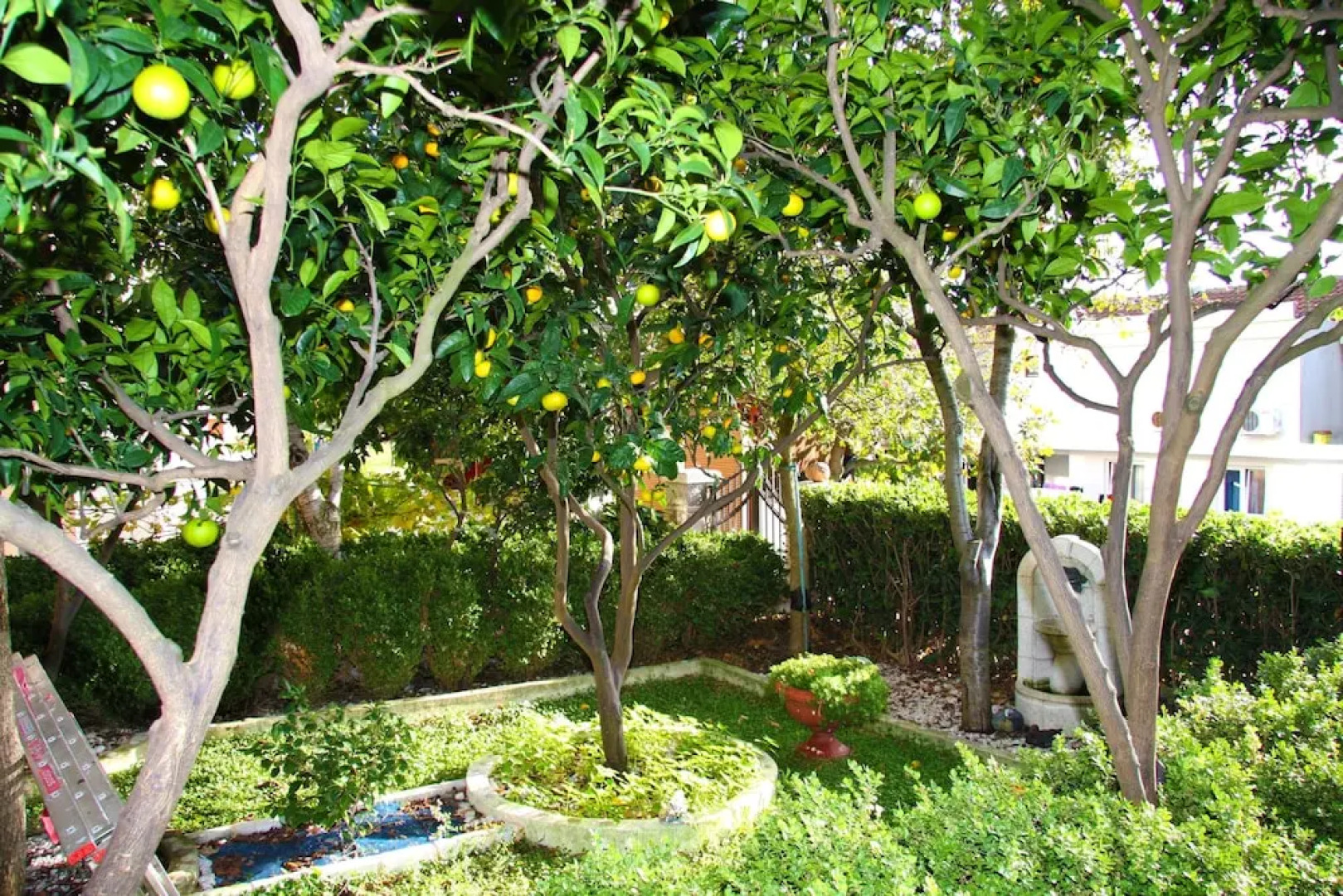 MM Kovacevic Apartments