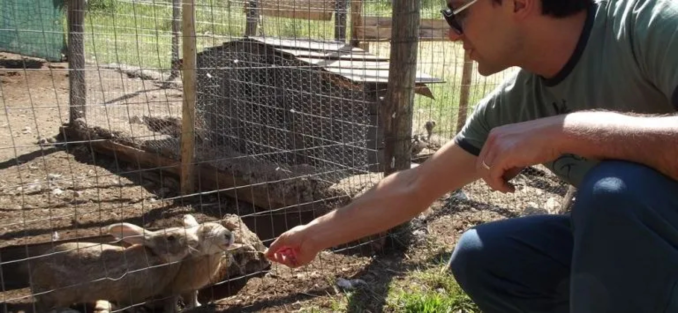 Oasi Agrituristica Le Chiancate