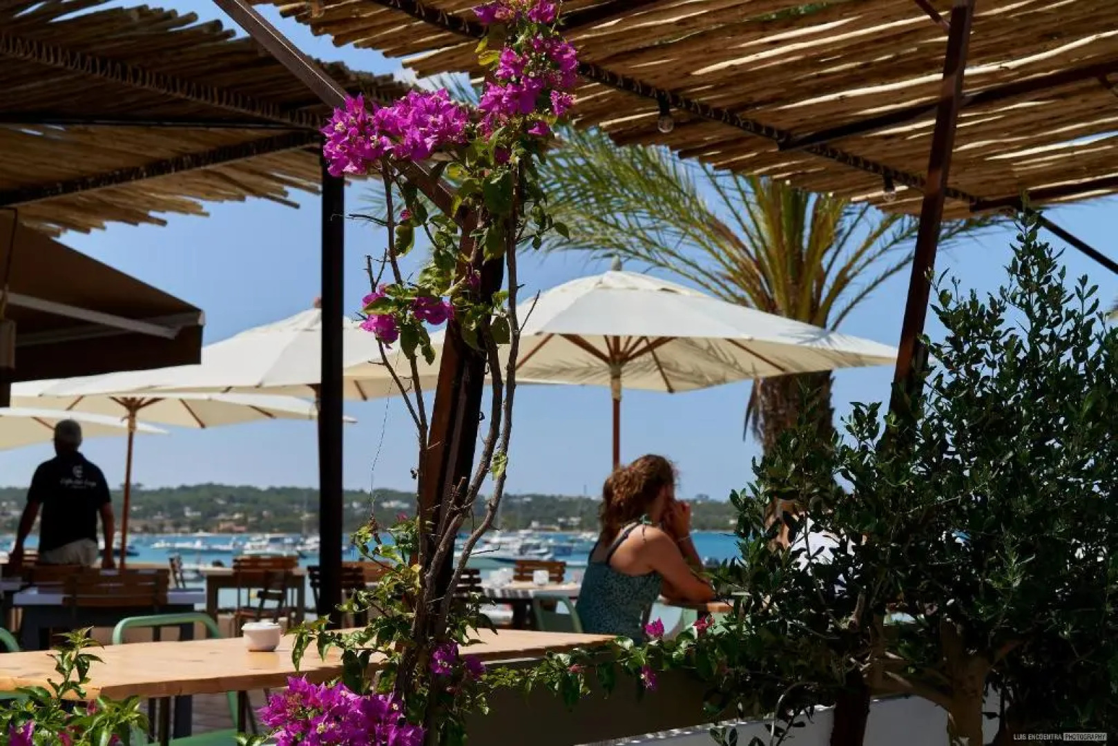 Apartamentos Sabina Playa