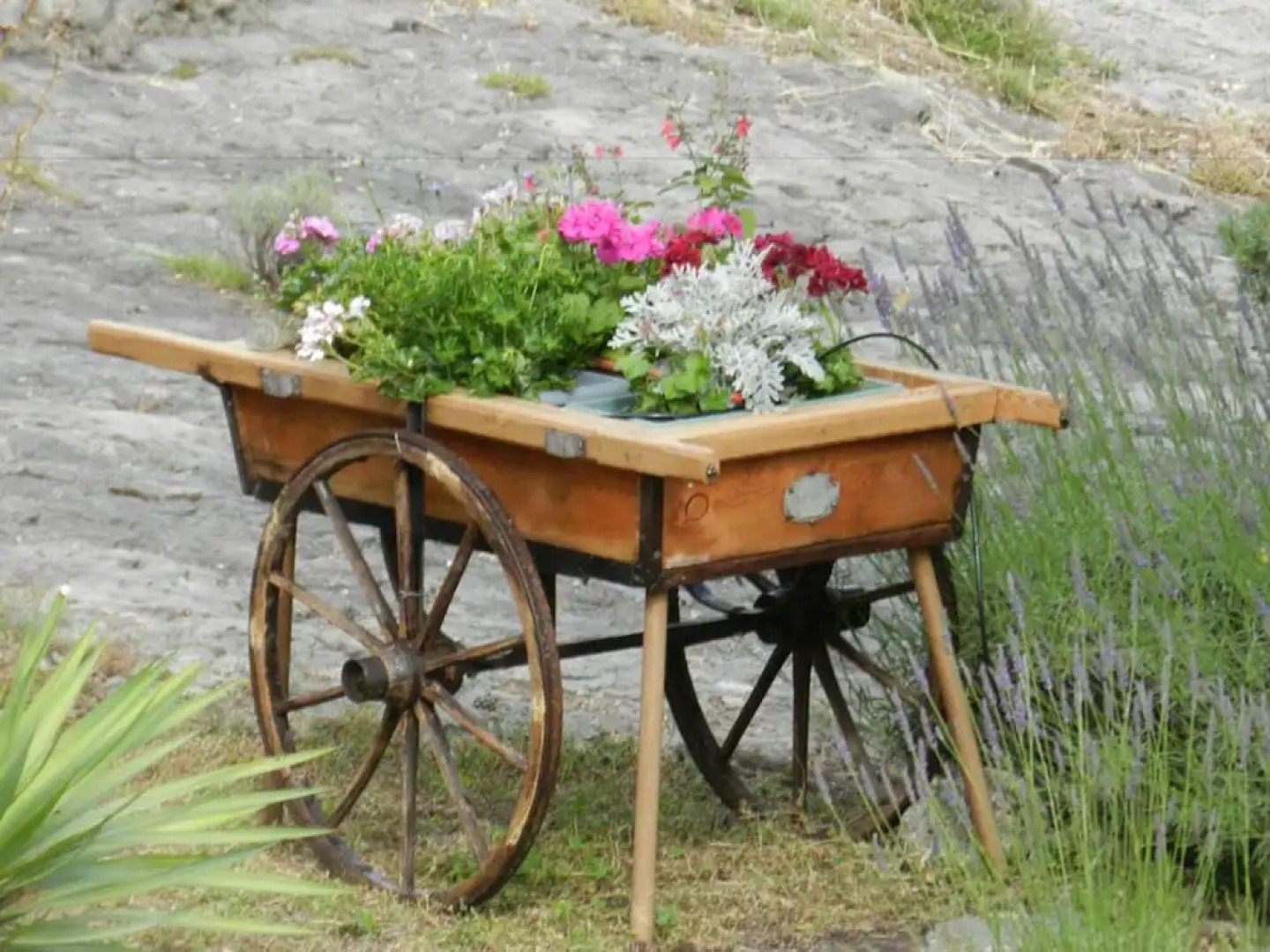 Chambre d'hôtes lavande