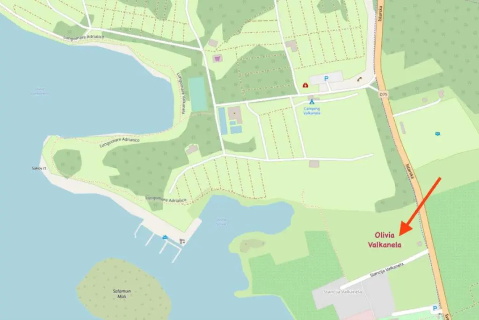 Olivia Valkanela App 3