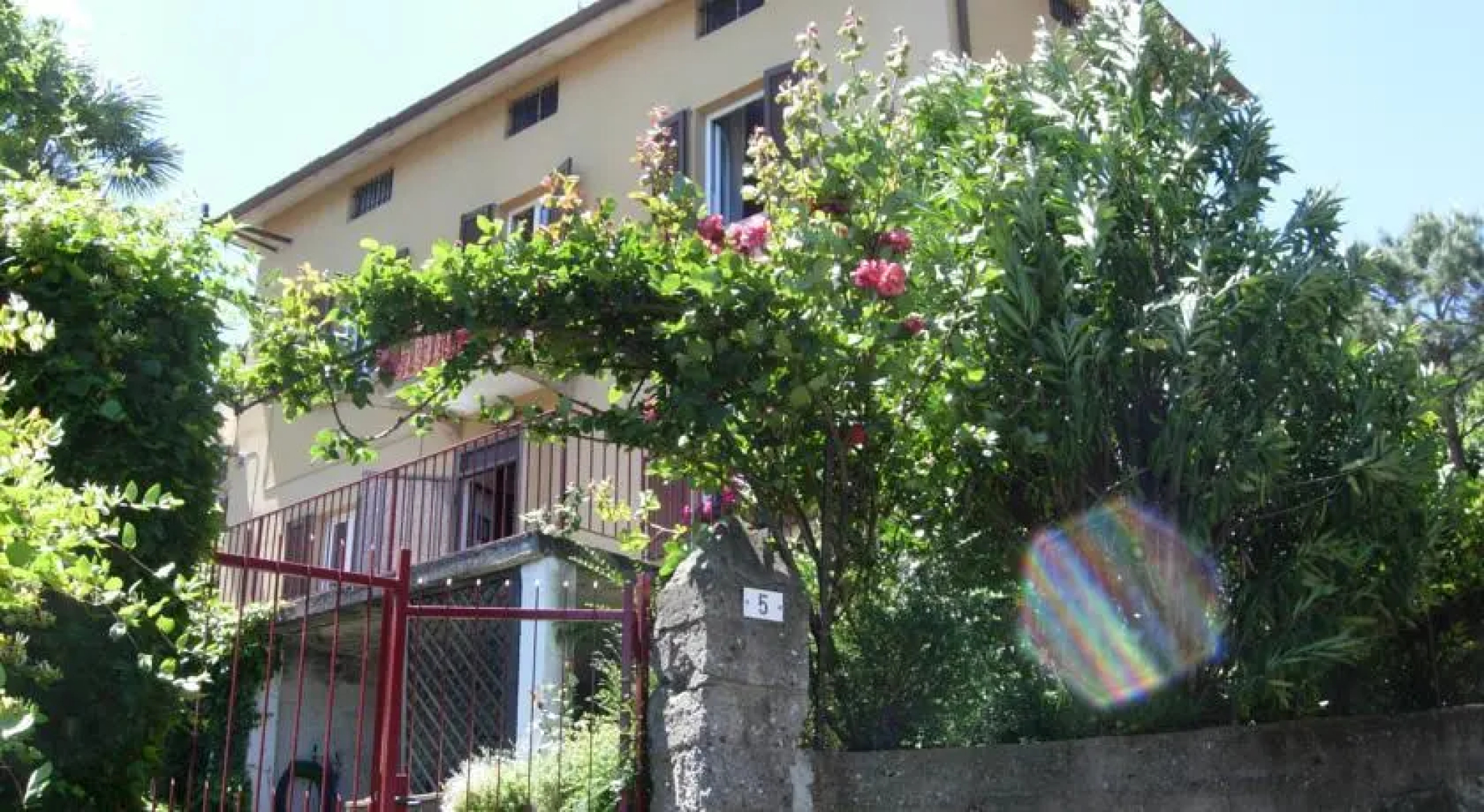 Casa Viola