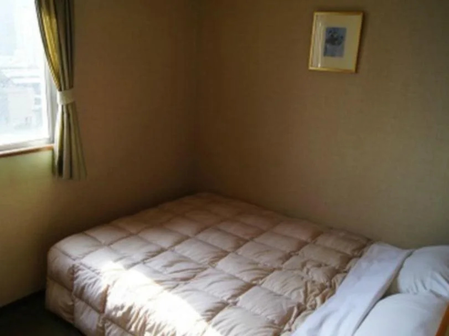 Iwakura Station Hotel