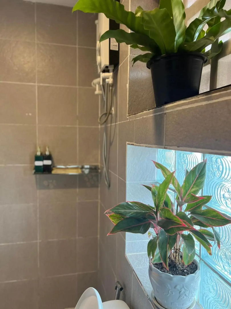 Two Moons Hotel - Hostel