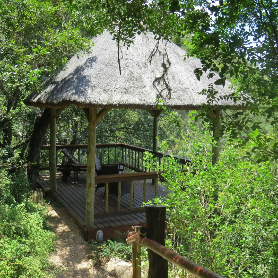 Woodbury Lodge - Amakhala Game Reserve