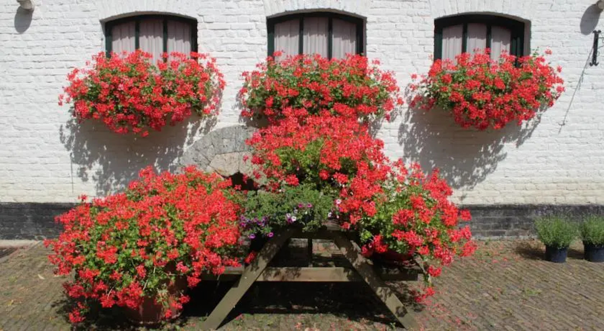 Comfortabel Rustpunt