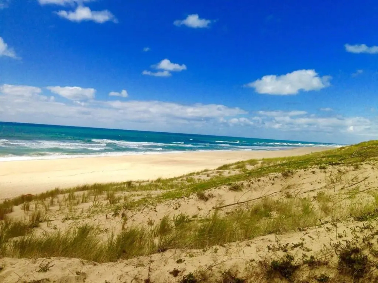 Bungalow de 3 chambres avec piscine partagee sauna et jardin a Saint Julien en Born C