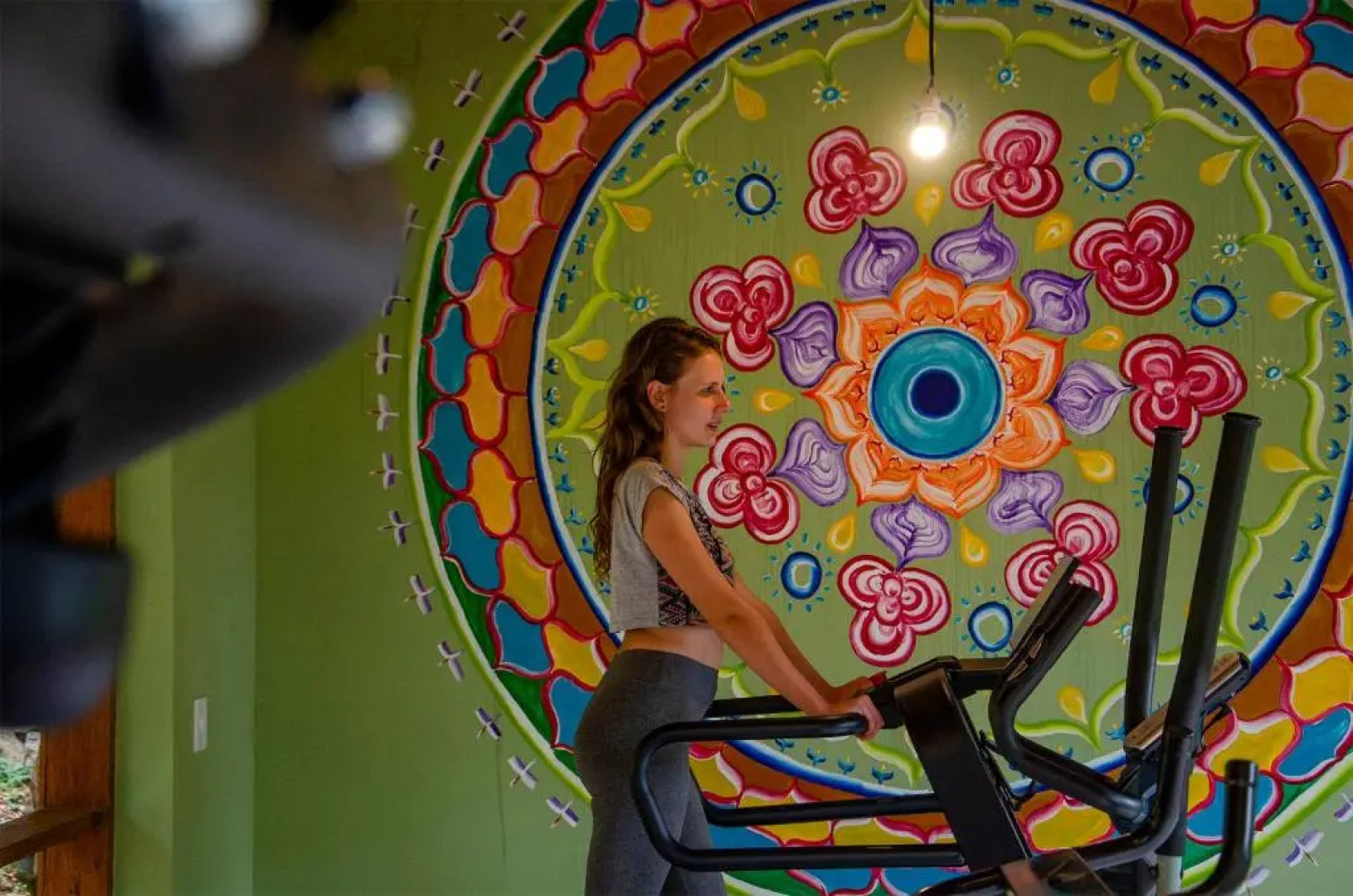 Pousada Rancho Das Framboesas