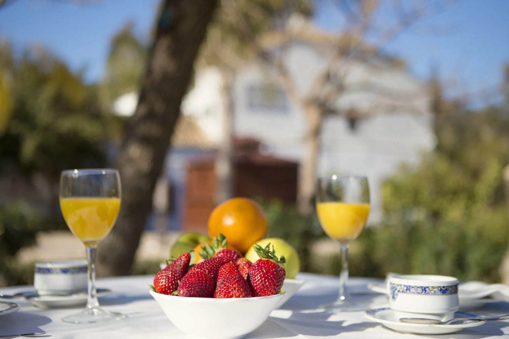 Hotel Cortijo San Antonio - Caminito del rey