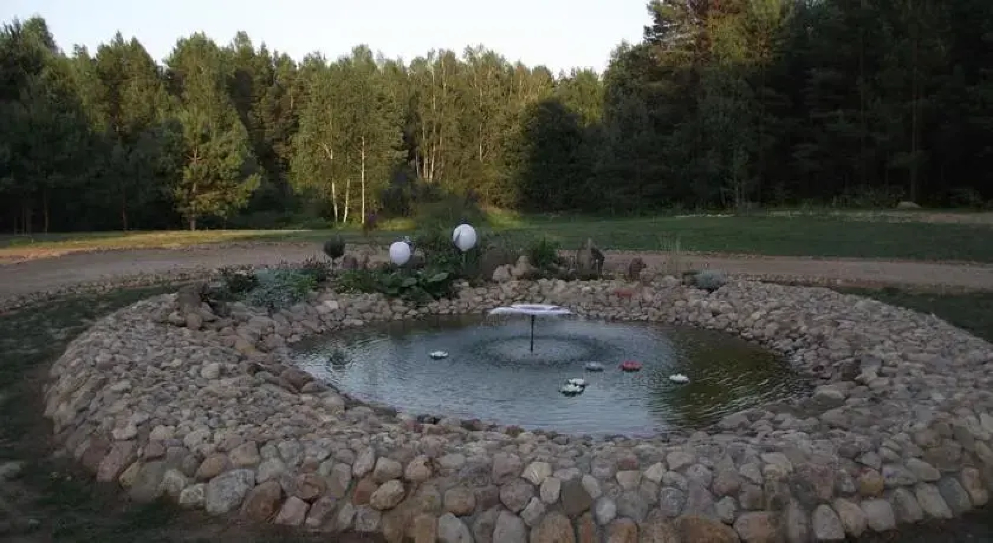 Vitų oazė
