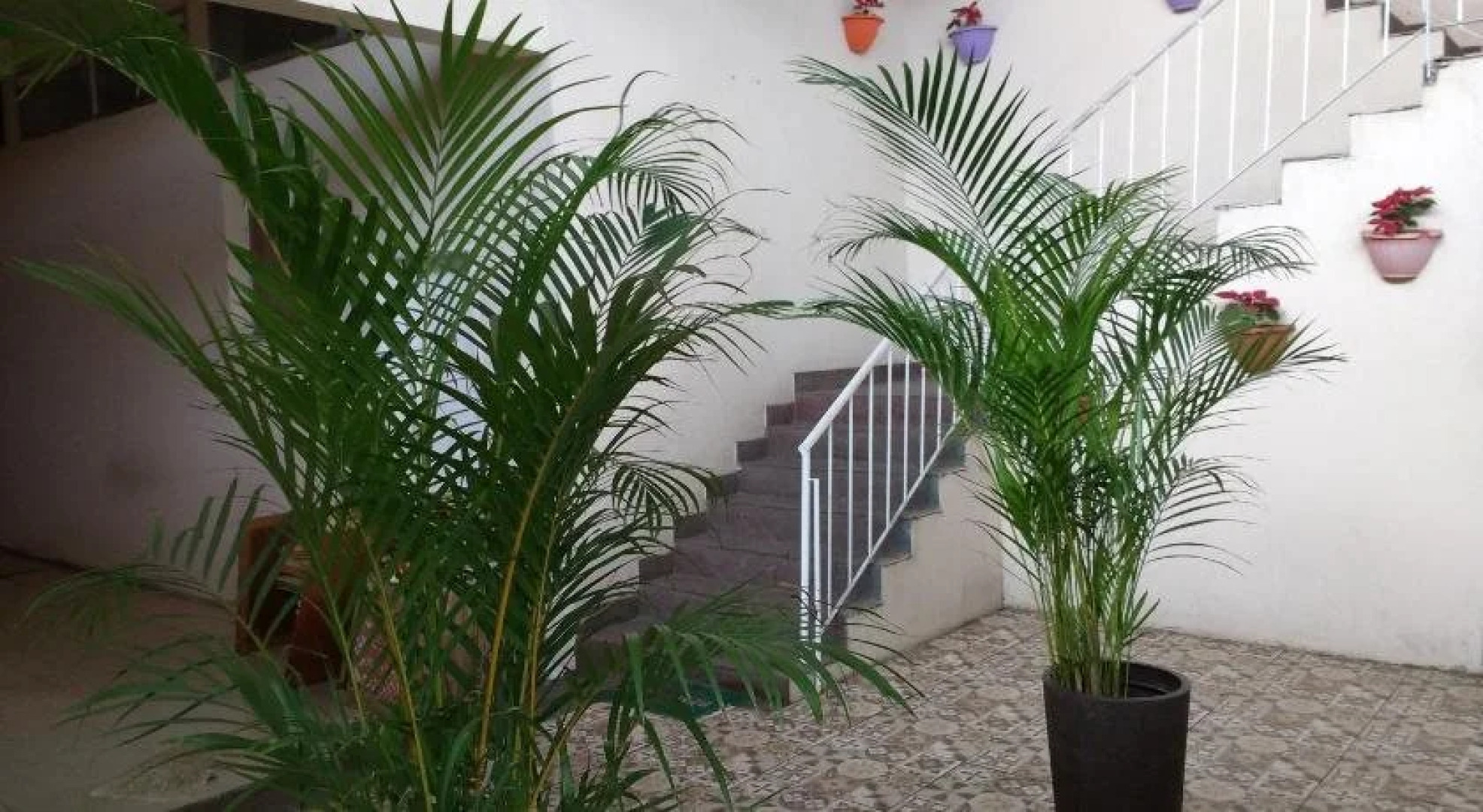 Árvore da Vida Pousada