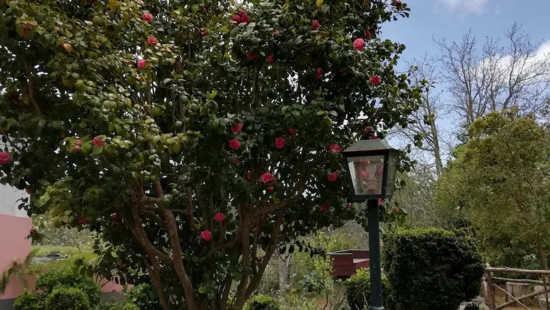 Rural House Casa Rosa
