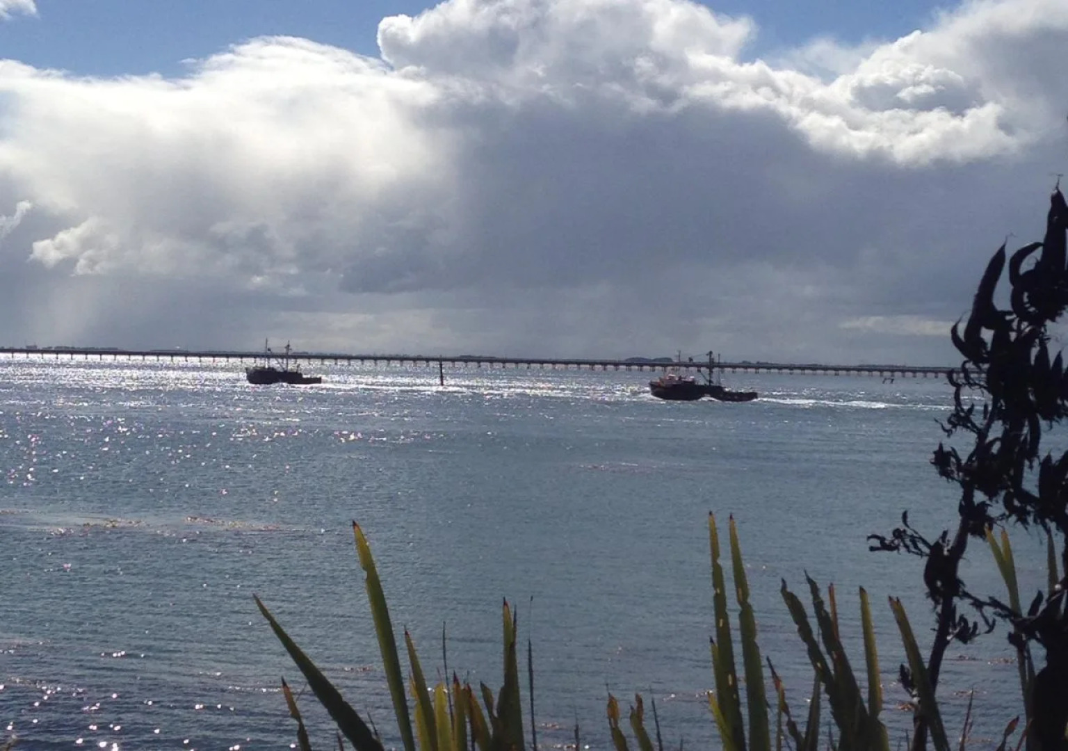 Bluff Ocean Vista Motel