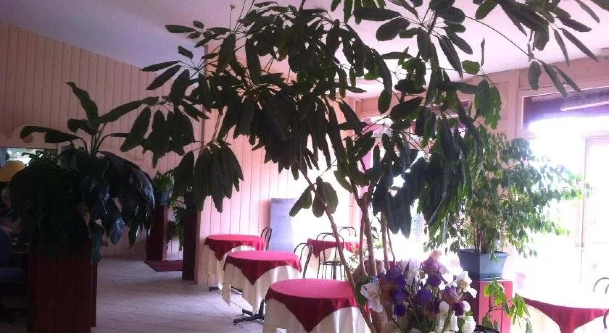 Hôtel La Plantation