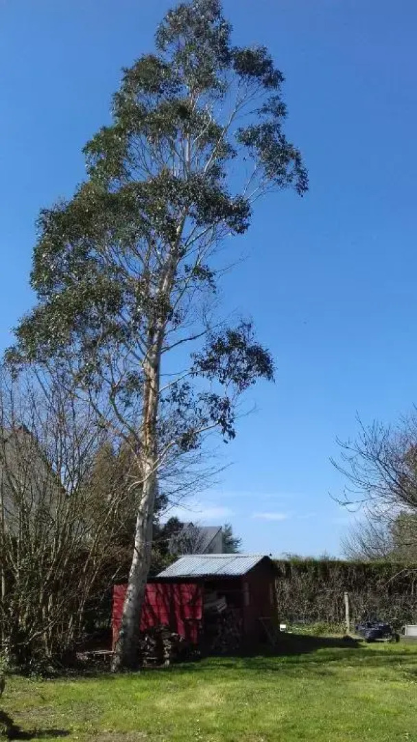 Chambre d'hôtes La Lamberterie