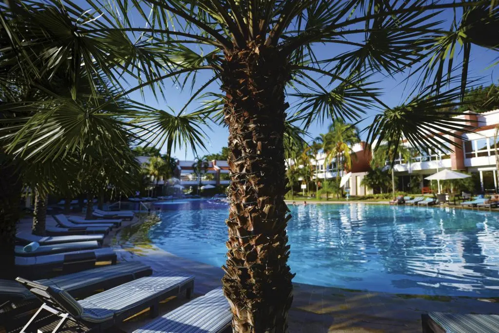 Los Tajibos, Santa Cruz de la Sierra, a Tribute Portfolio Hotel