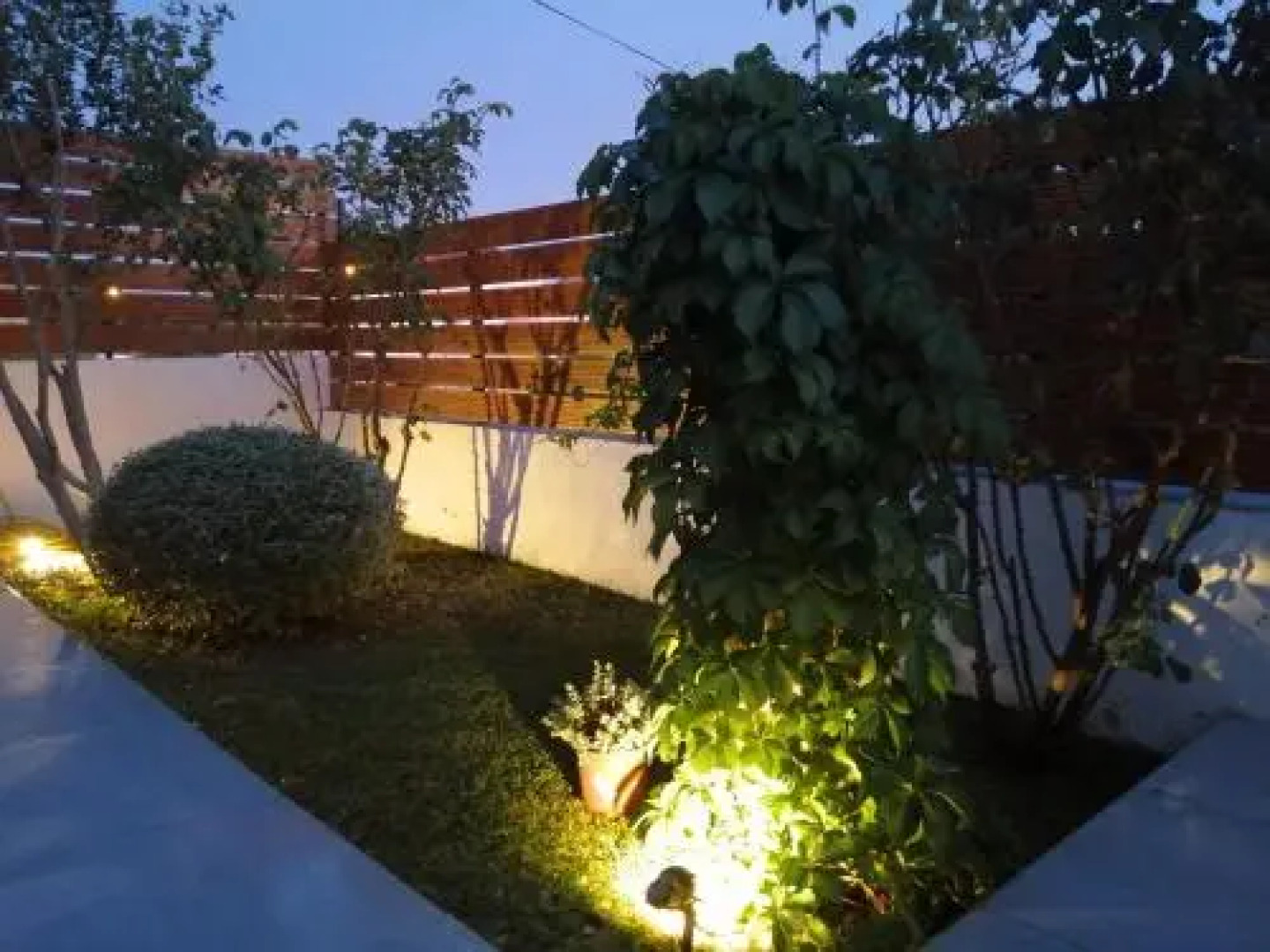 Apartment Mr Bellina