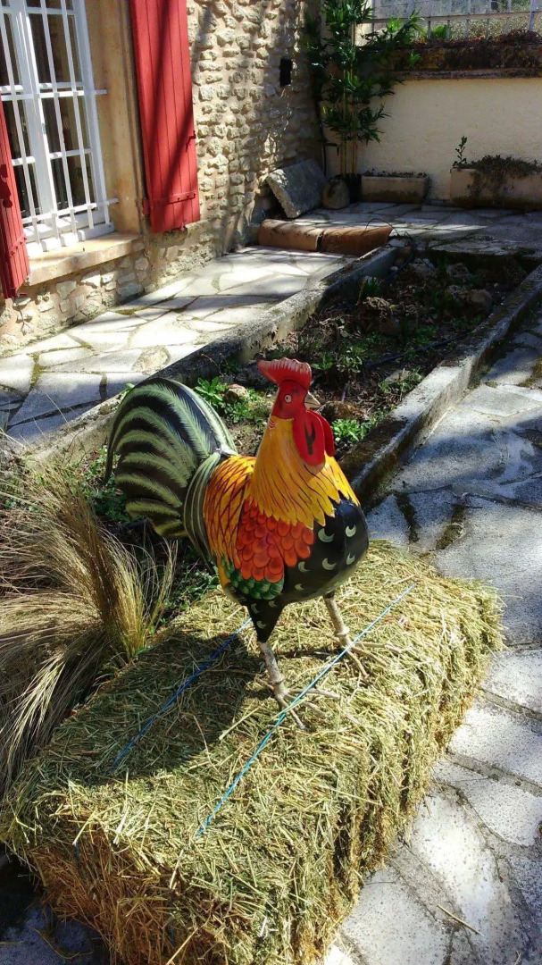 Mas De Cocagne En Provence