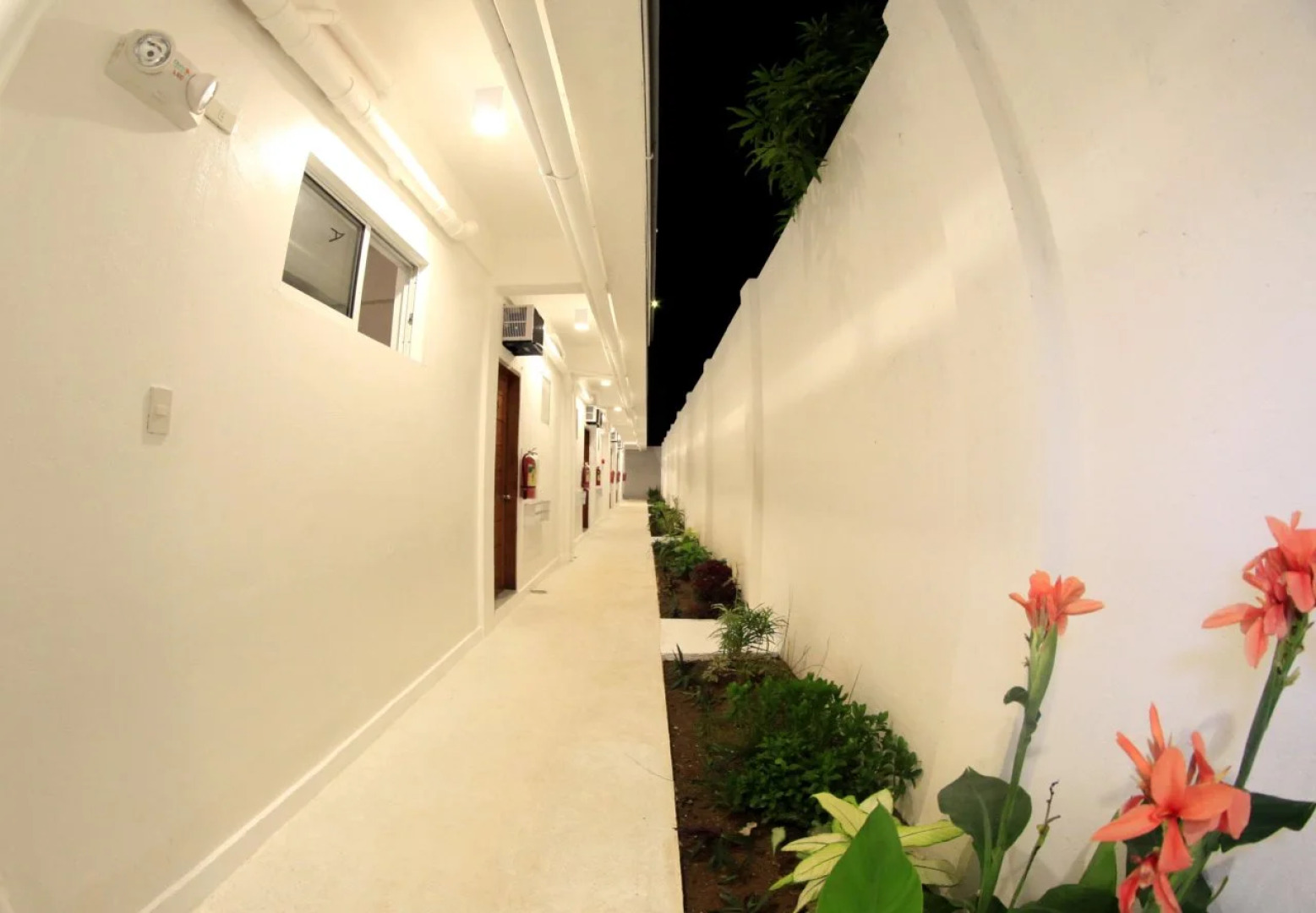 Coron Bluewave Hotel