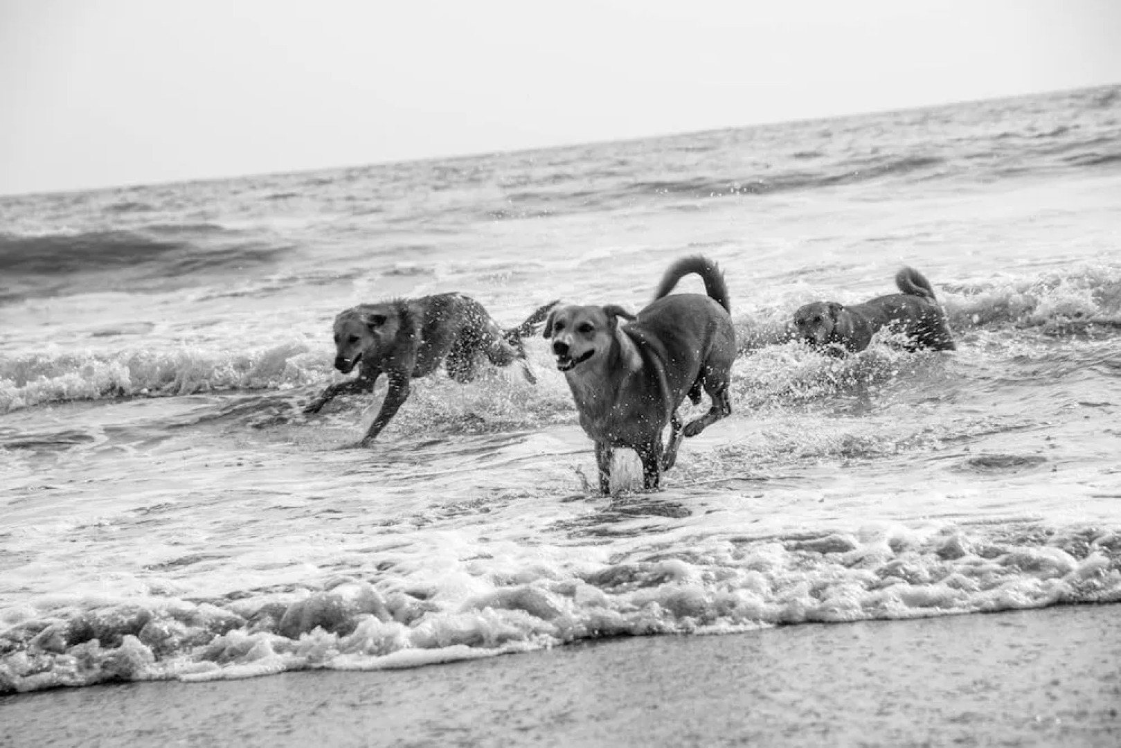 The Noname Guesthouse