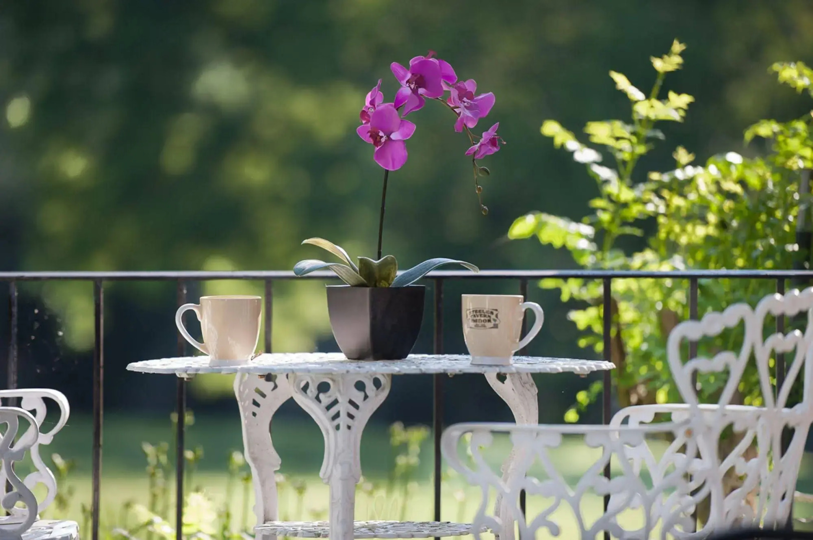 Steeles Tavern Manor