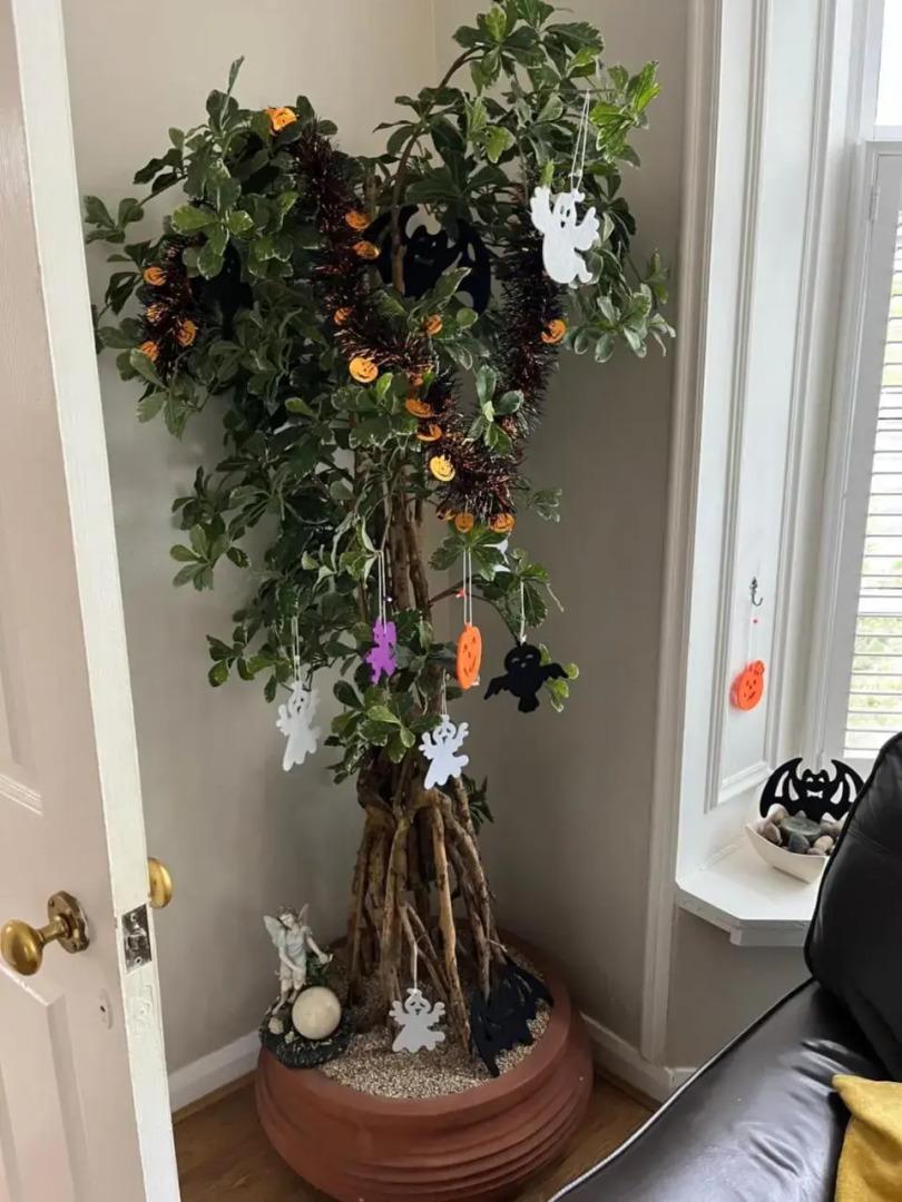 NEW Cottingburn House