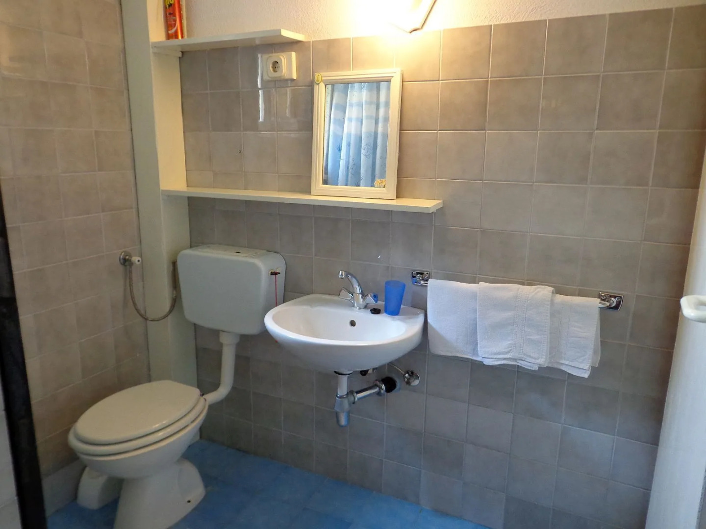 Apartment Brane - 150m from sea: A1 Bol, Island Brac