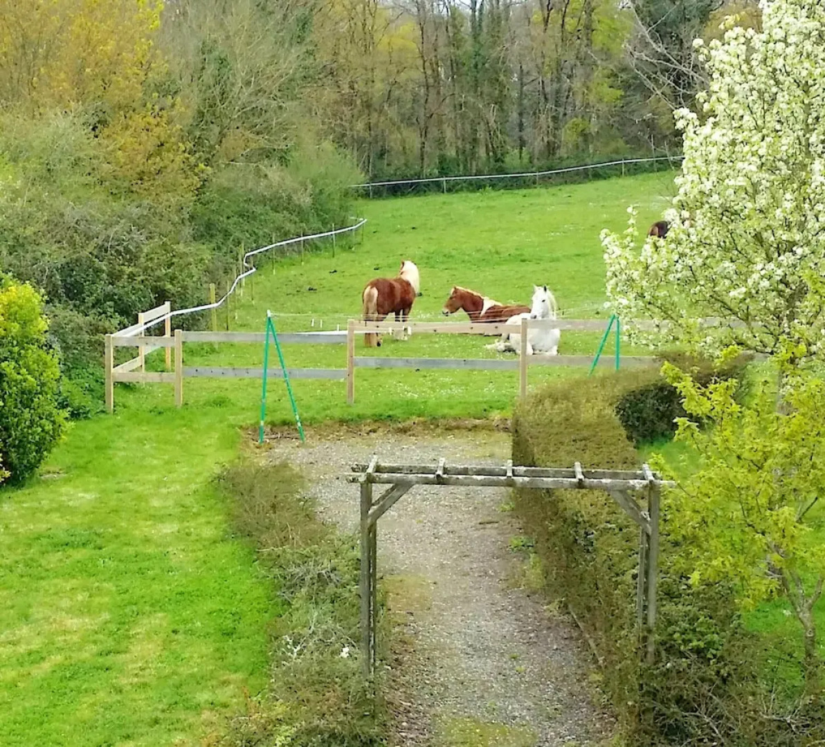 House With 3 Bedrooms in La Boissière-des-landes, With Enclosed Garden