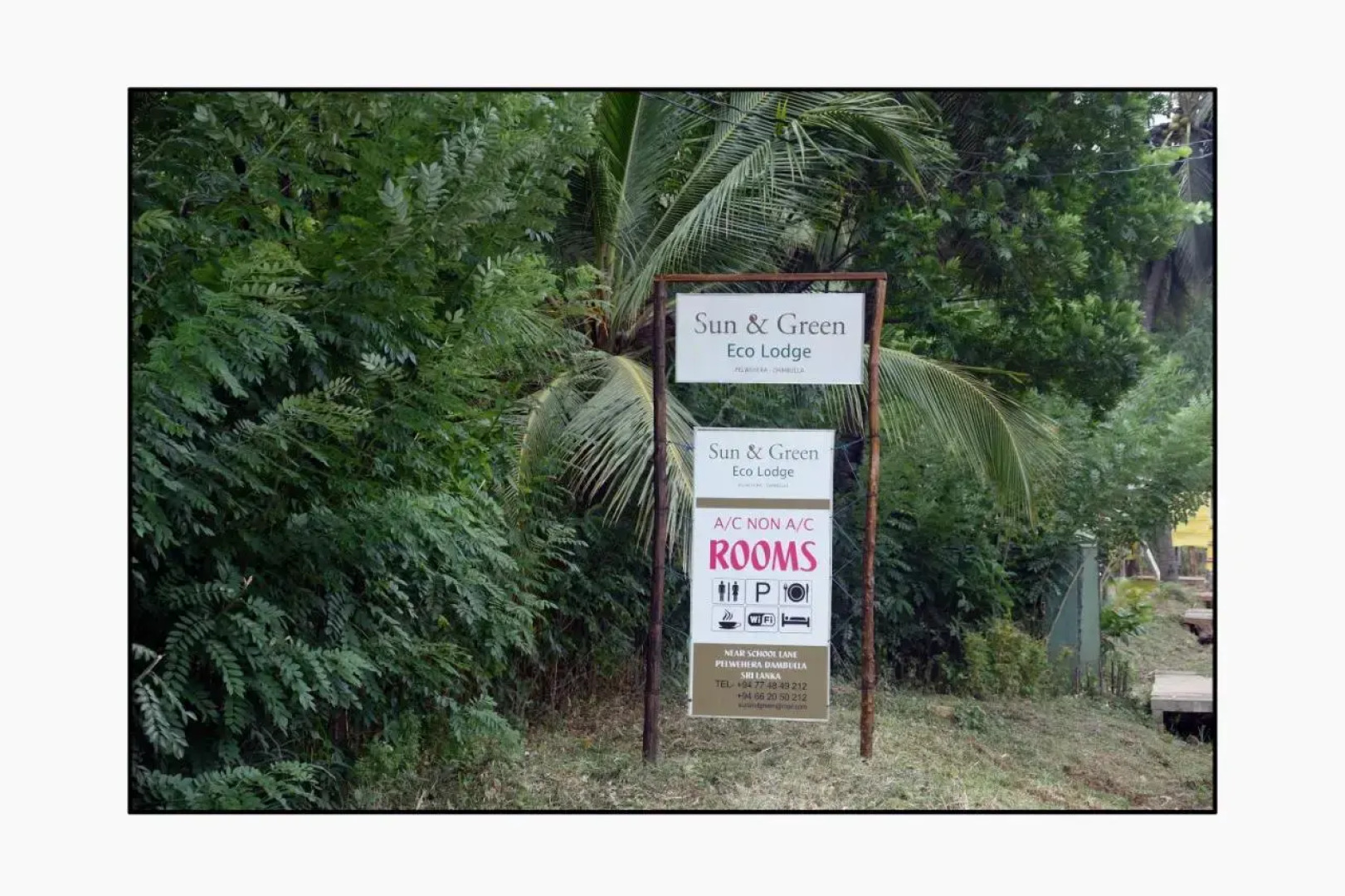 Sun and Green Eco Lodge