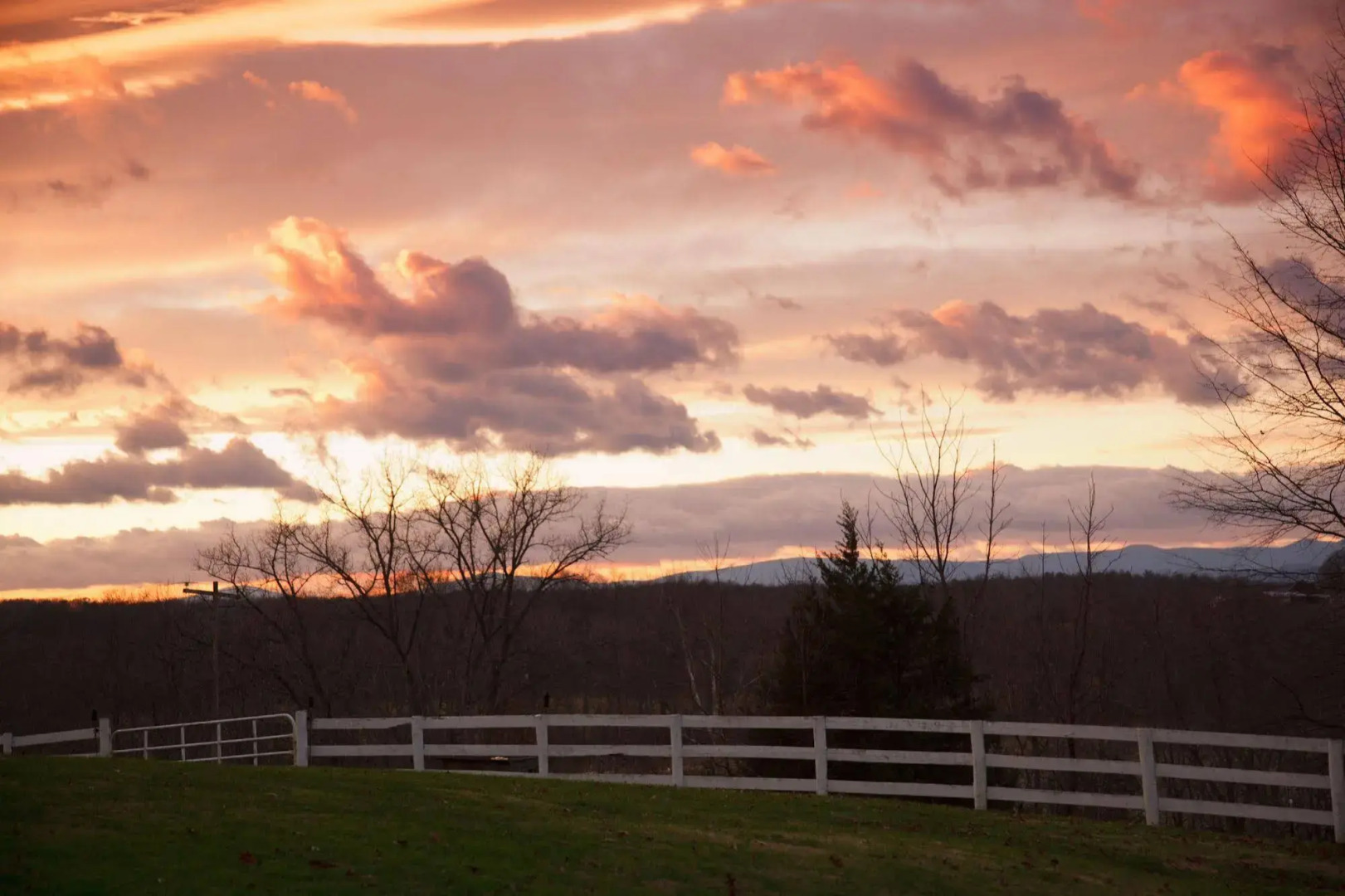 The Inn at Meander Plantation