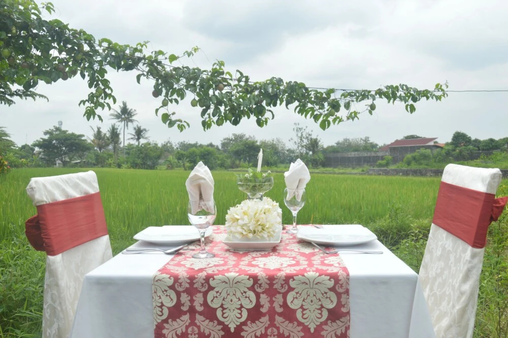 Rosella Cottage Yogyakarta