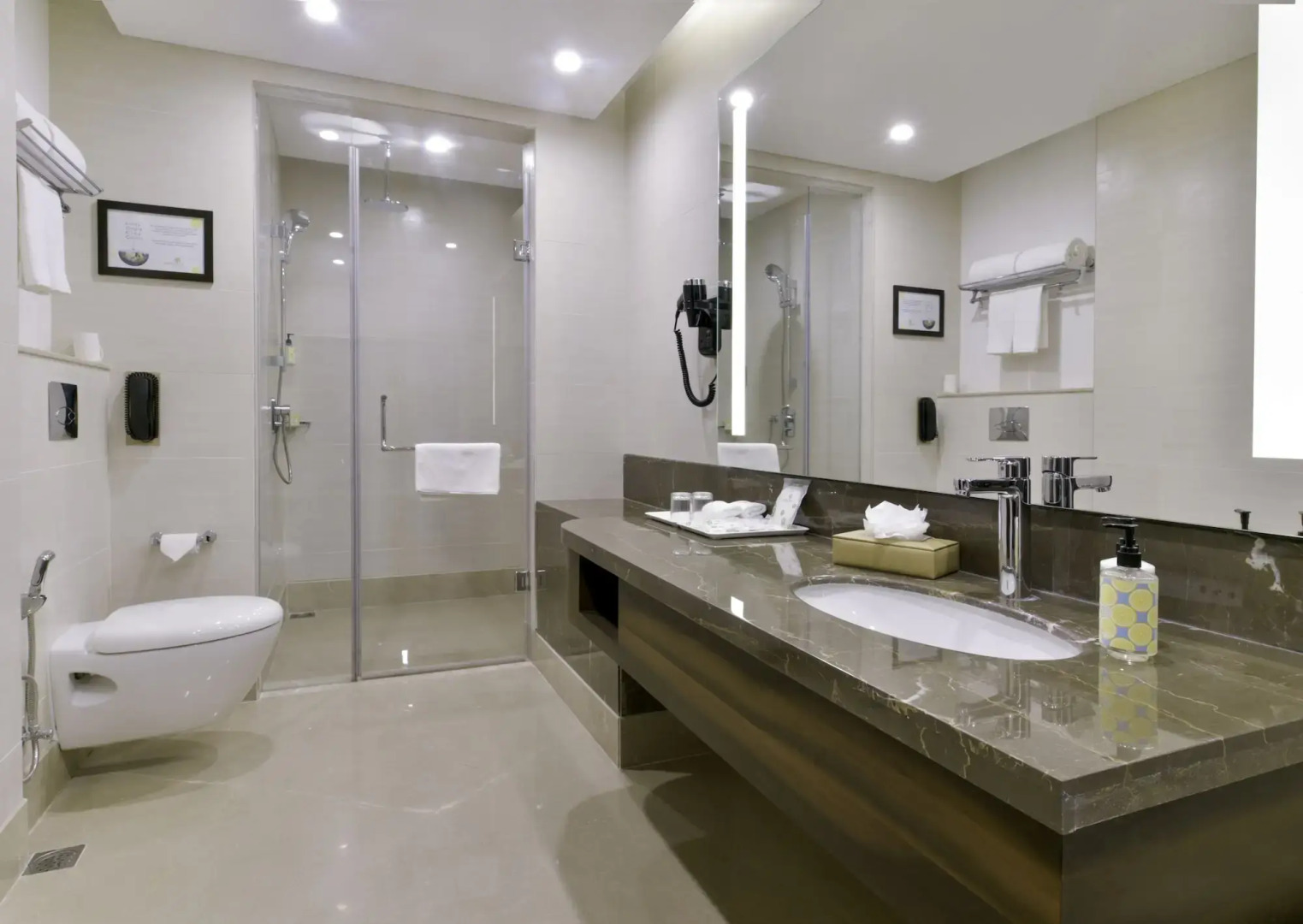 Lemon Tree Hotel Jammu