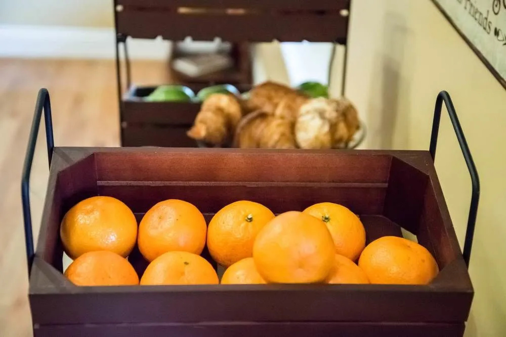 Glassy View Bed & Breakfast