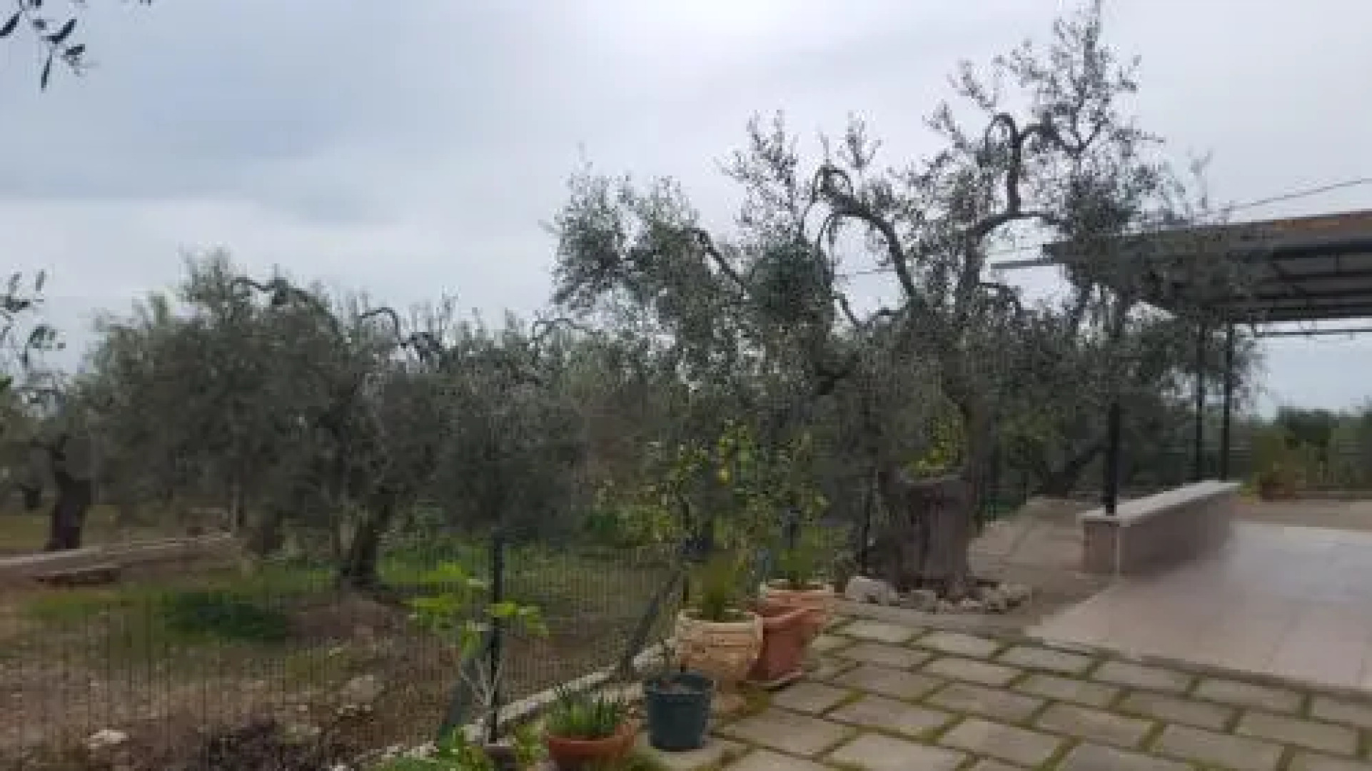 Casa Vacanze Macchia Verde