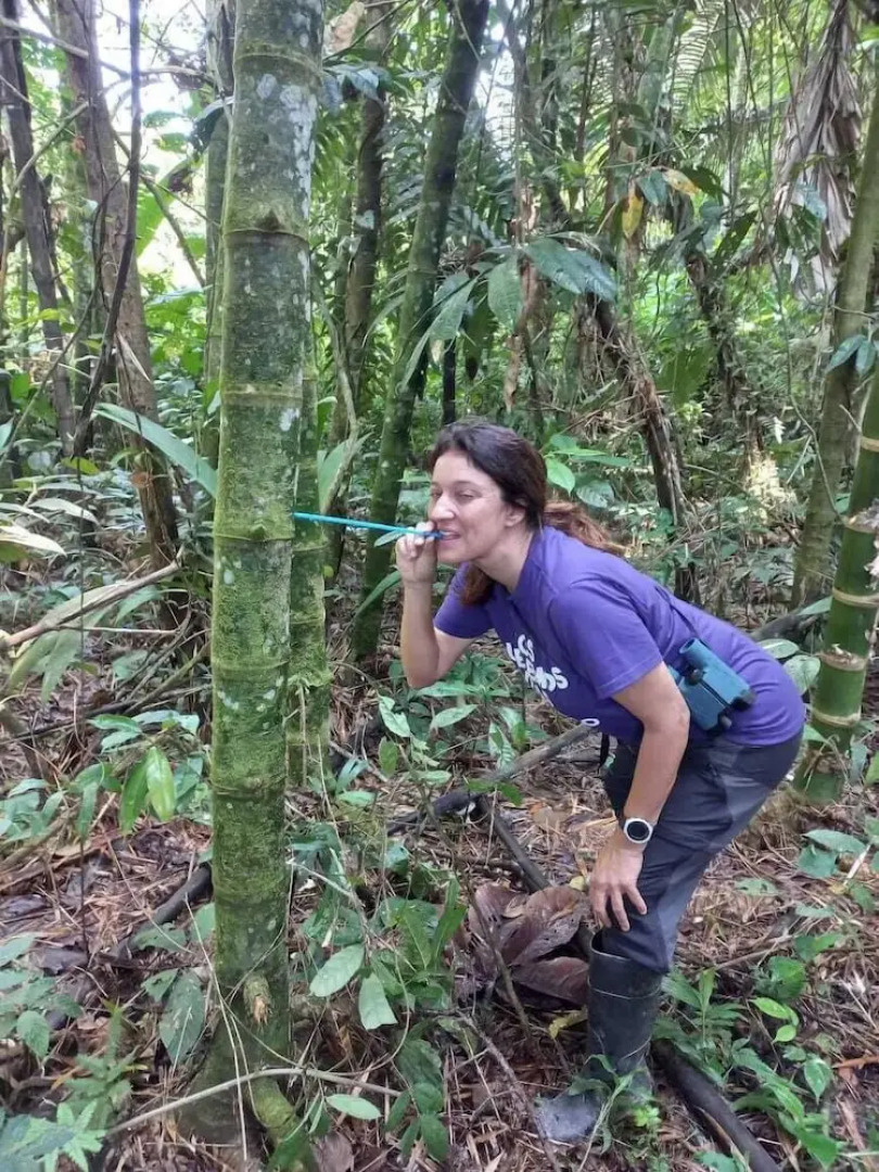 Ayawaska Atractivo Sacha Wasi