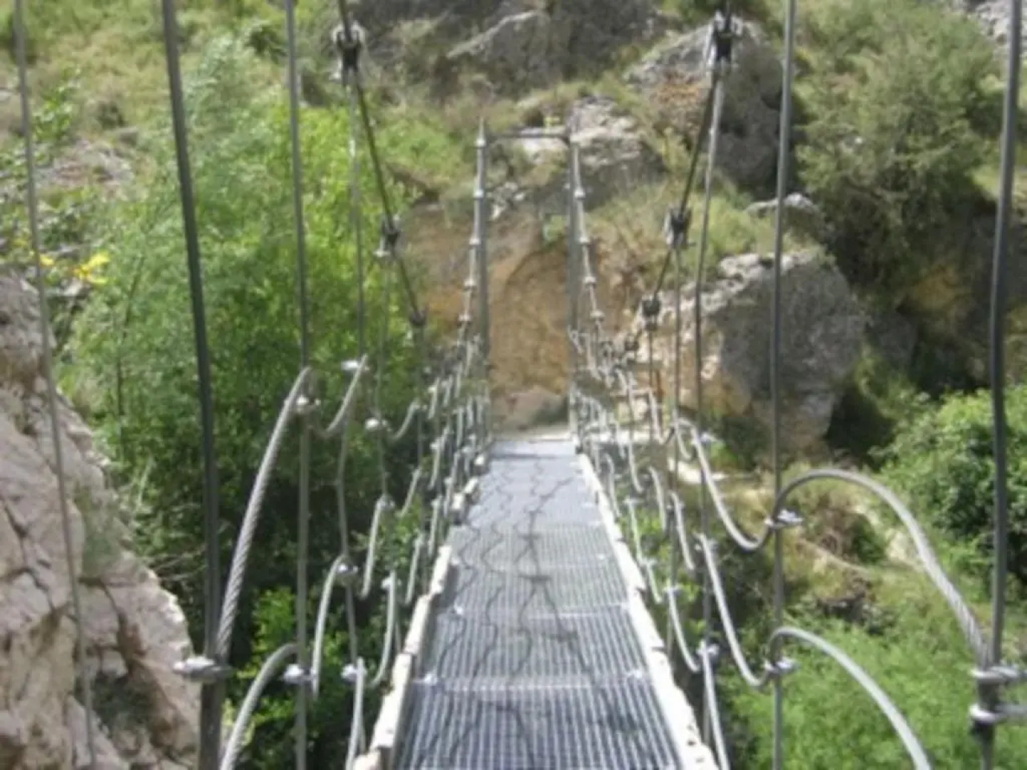 El Almendro de Fuentes Nuevas