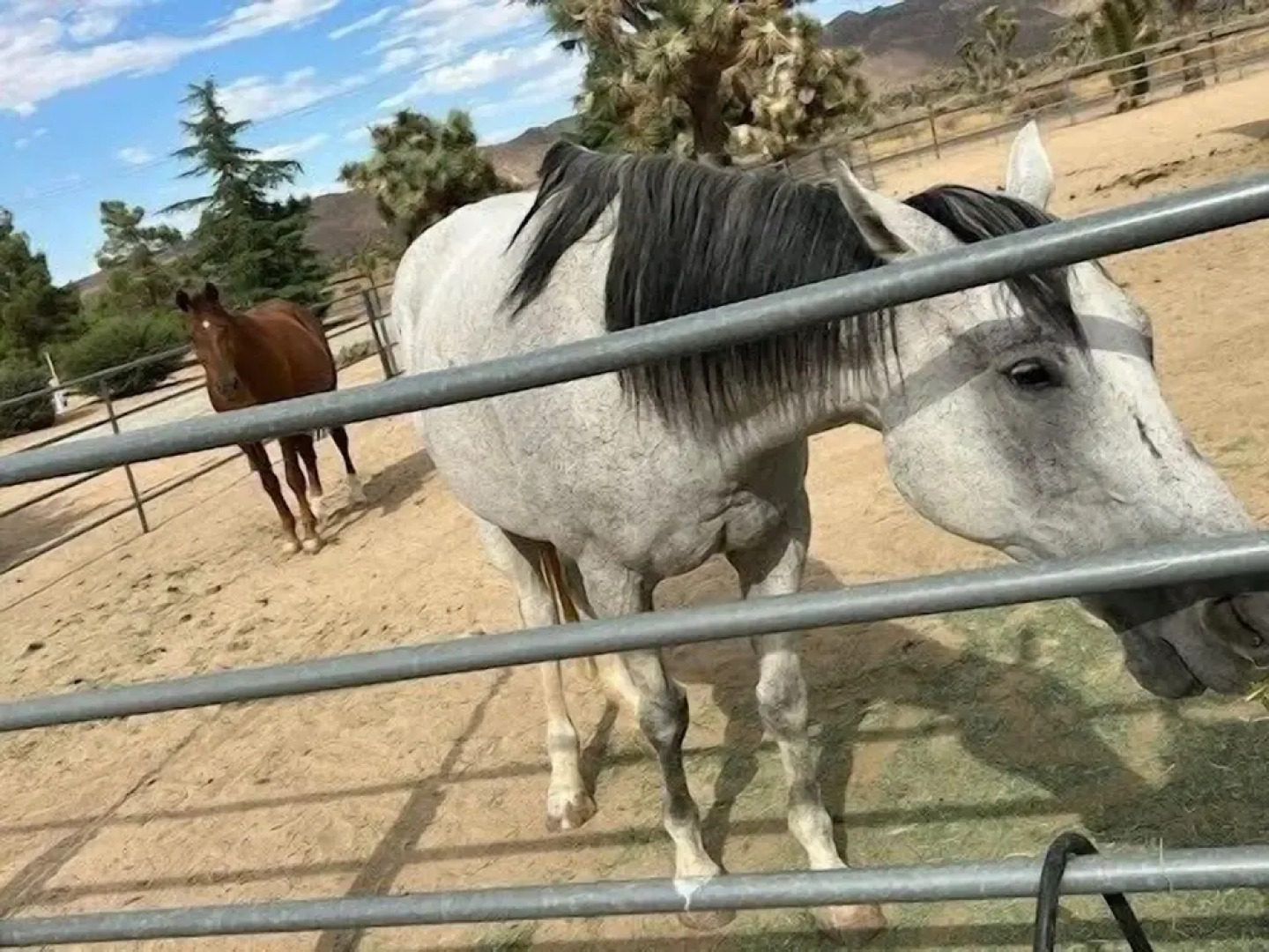 Countryside Spanish Hacienda W/ Spa, Horses, Views by Redawning