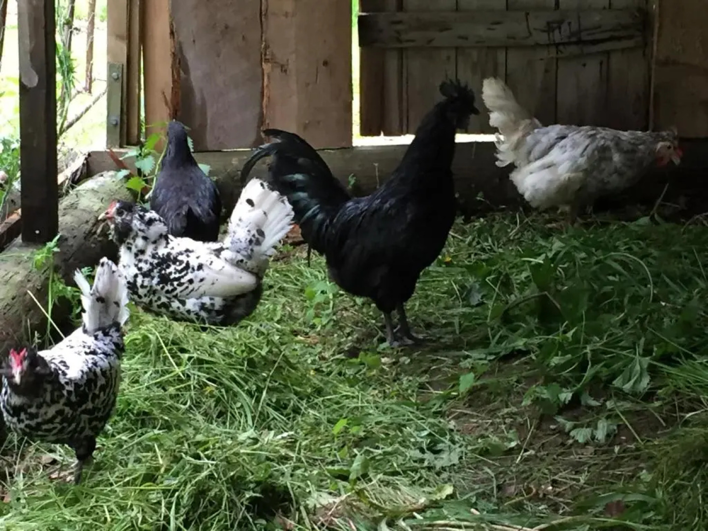 Villa Insikt Pensionat & Kursgård