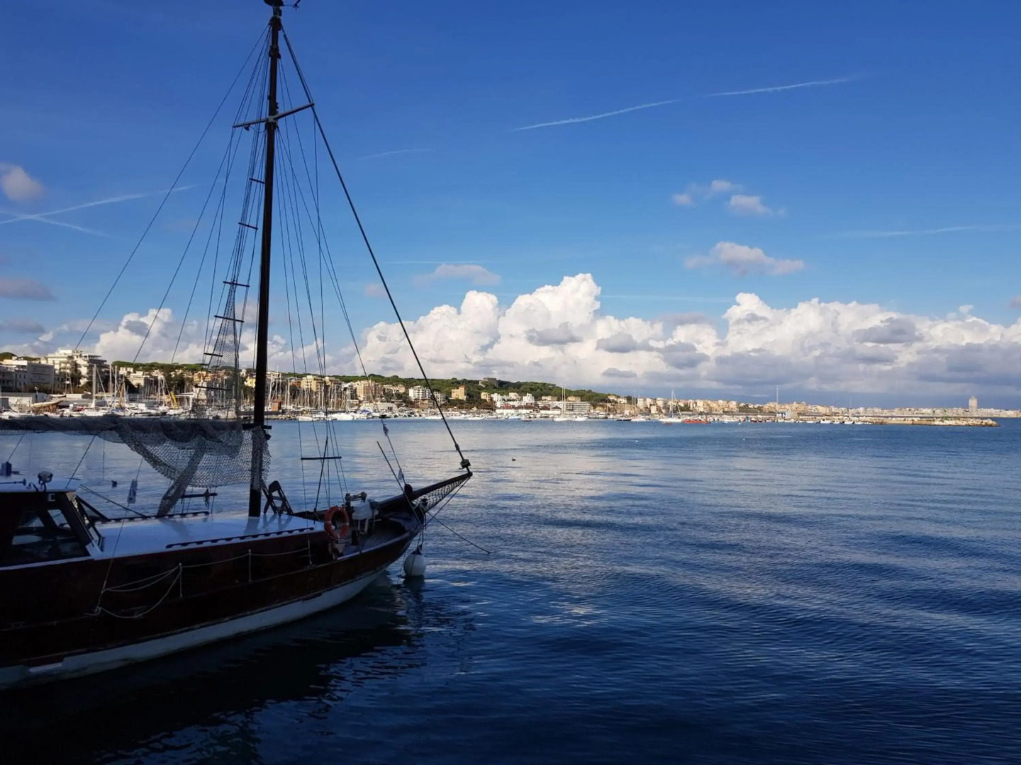 Poggio degli Oleandri