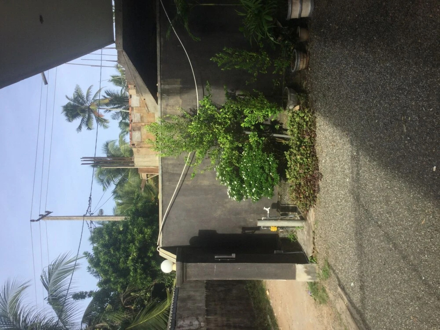 White Baby Guest House & Restaurant