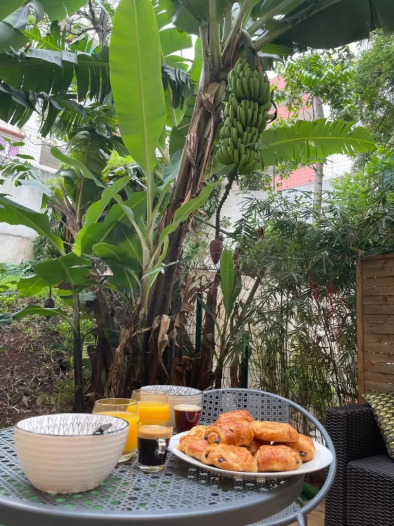 Nouveauté - L'Oasis - T3 - 70 M2 - Jacuzzi