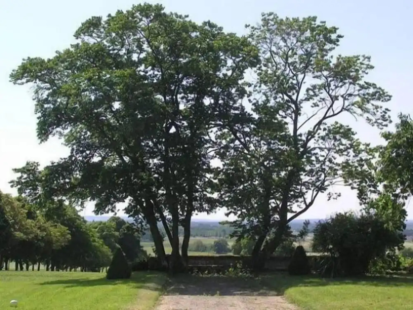 Chambres d'hôtes - Château de la Plante