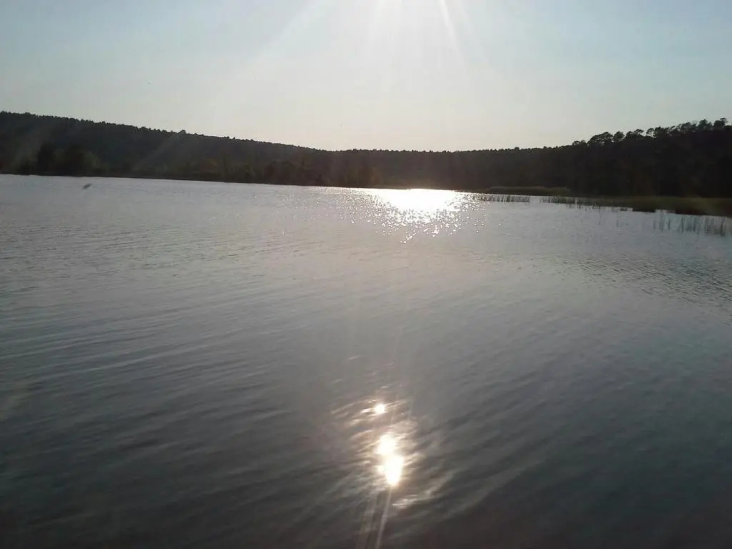 Apartamentos el Prado